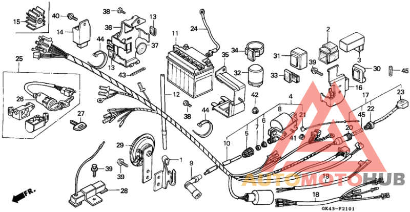 Wire harness/battery