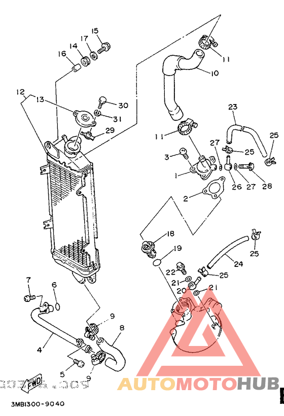 Radiator. hose