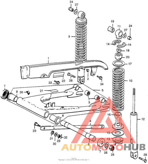 Swingarm + rear shock absorber