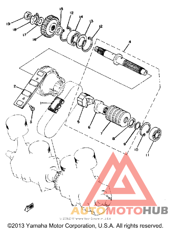 Primary shaft - chain
