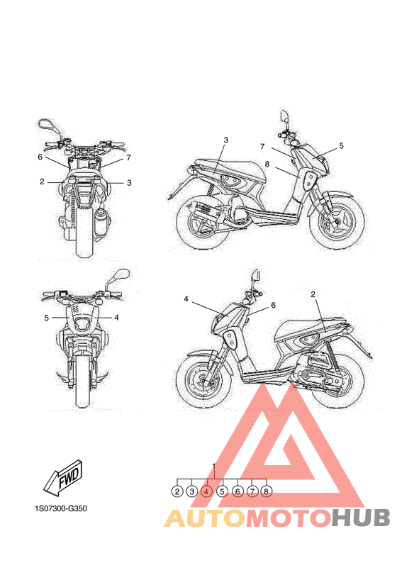 Graphic & emblem