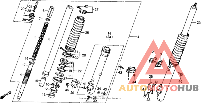 Front shock absorber 81-83