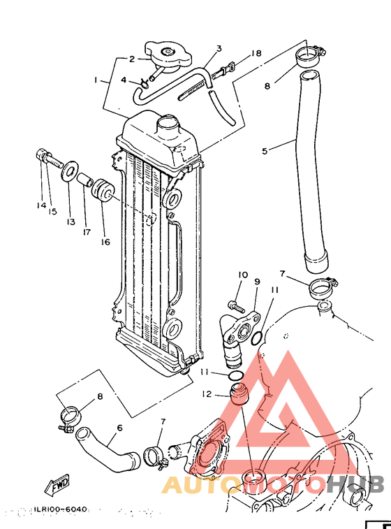 Radiator. hose