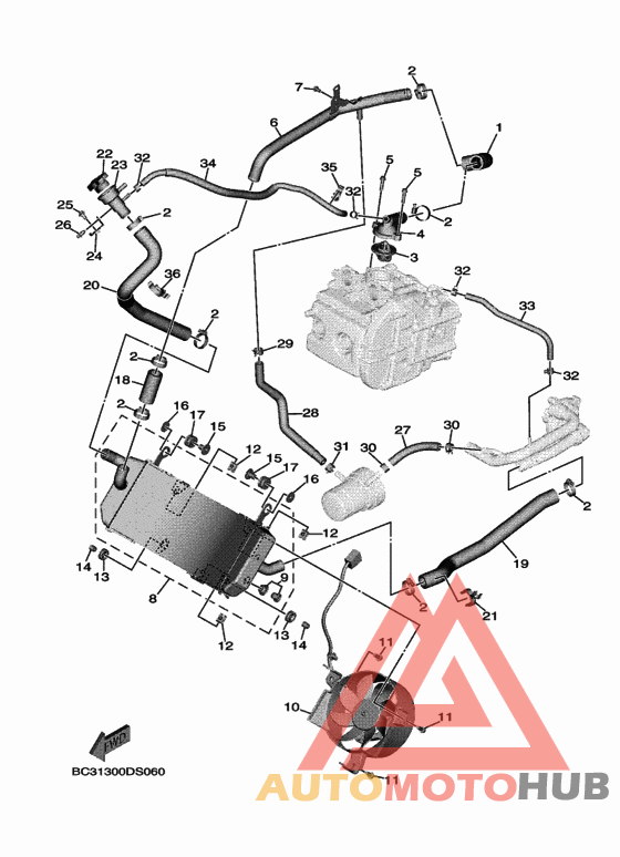 Radiator & hose