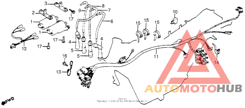 Wire harness + ignition coil