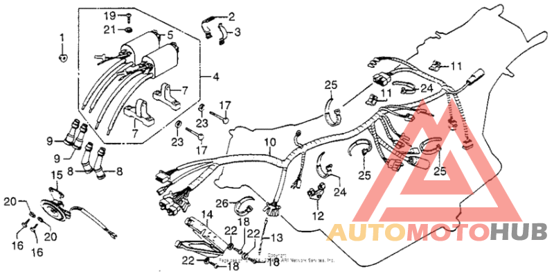 Wire harness + ignition coil