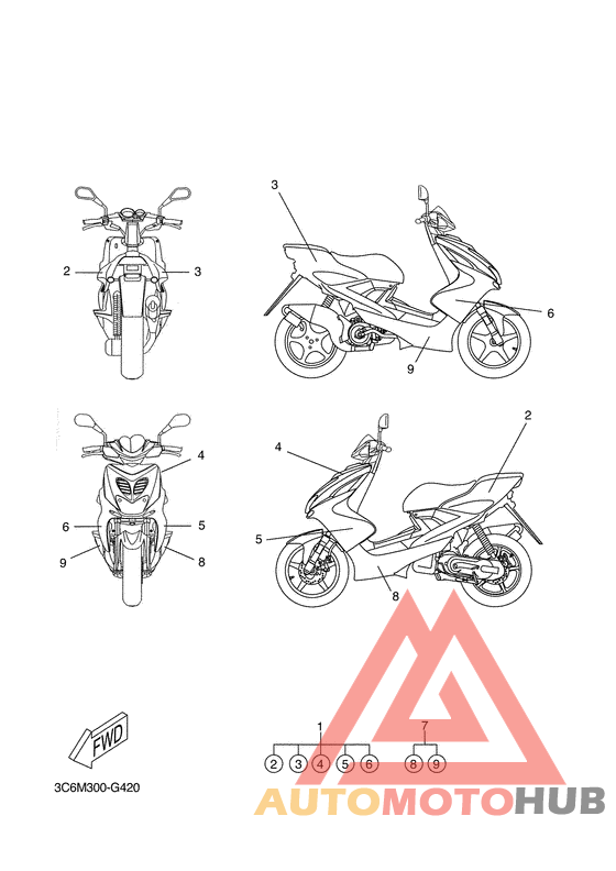 Graphic & emblem