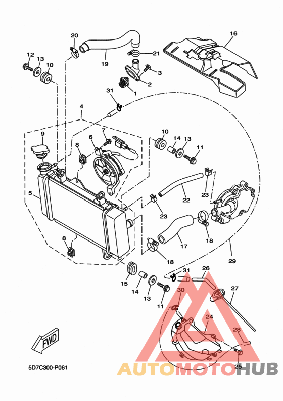 Radiator & hose
