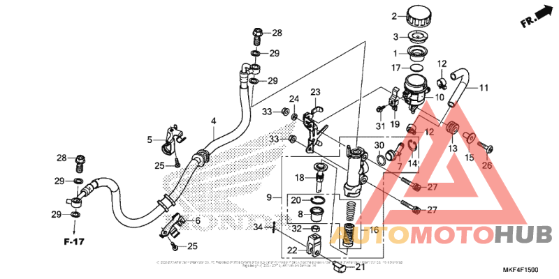 Rear Brake Master Cylinder (1)