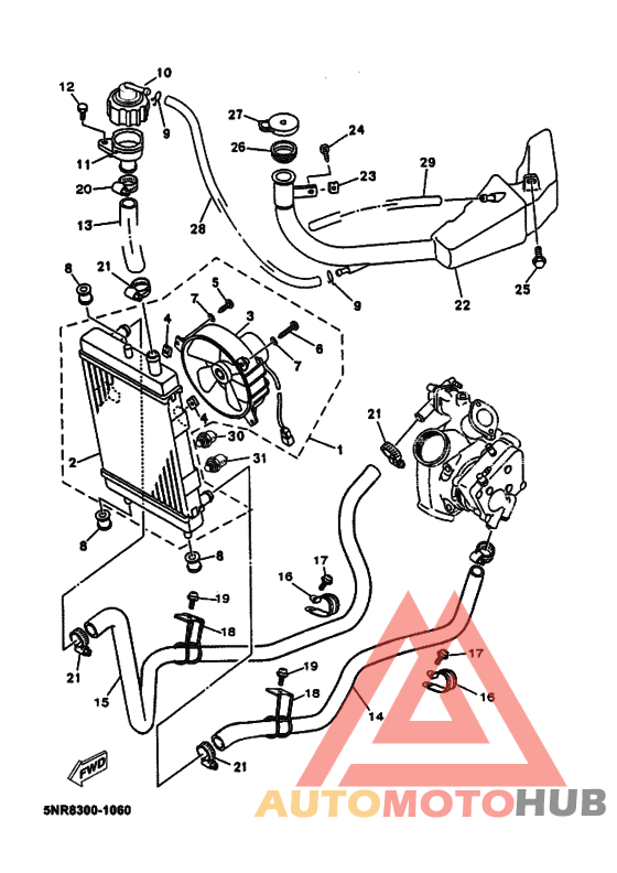 Радиатор и шланг