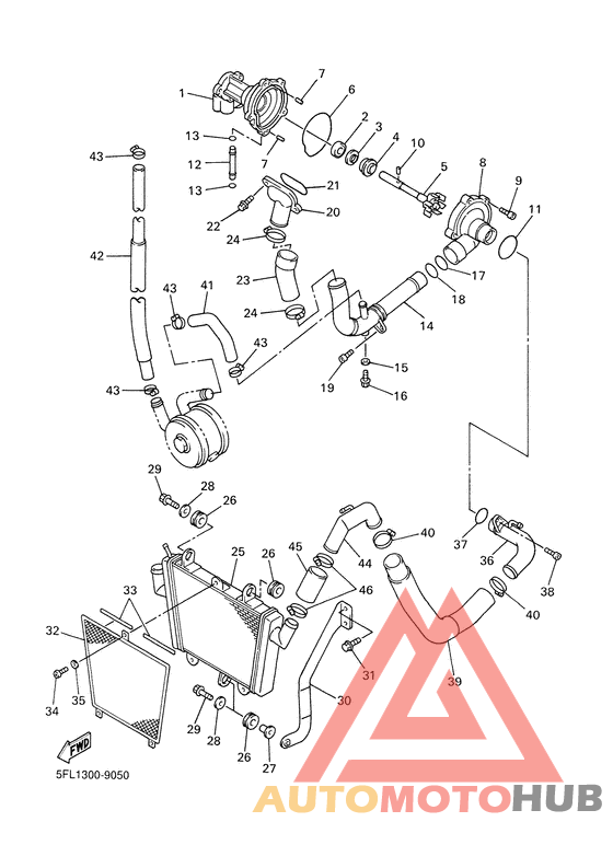Water pump. radiator