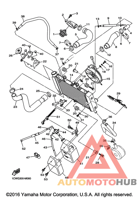 Радиатор и Патрубки
