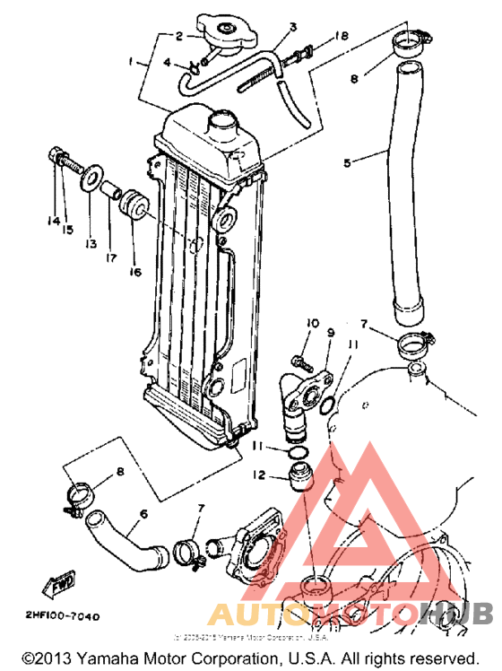 Radiator - hose