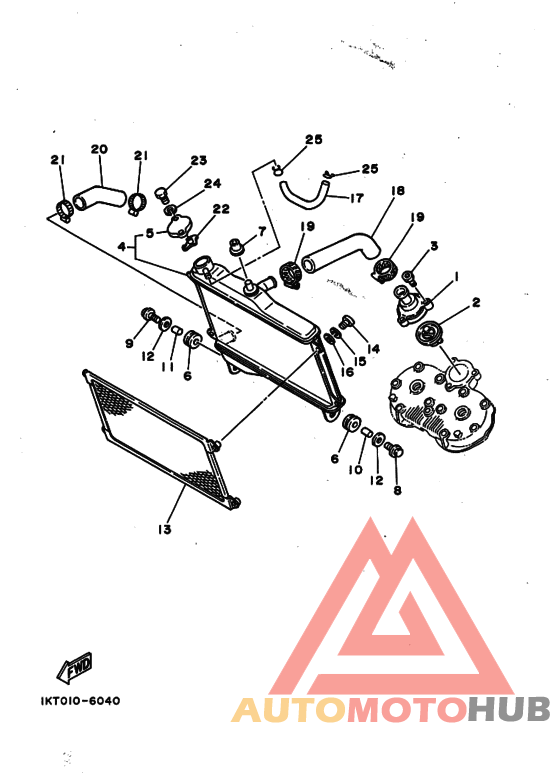 Радиатор и шланг