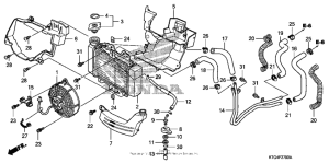 SH150I Радиатор