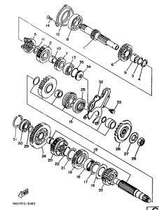 TRX850 Трансмиссия