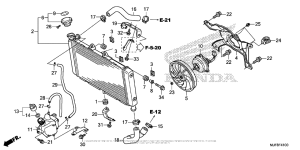 CTX700N DCT Радиатор