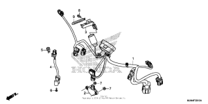 CTX1300 (ABS) Зажигание