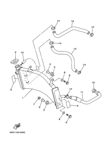 TZ250 Радиатор hose