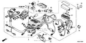 CB1100S (ABS) Жгут проводов