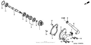 CN250 Водяной насос