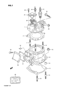 TS200 Цилиндр