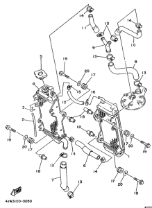 WR250Z Radiator. hose