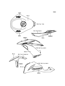 ZX636 Decals(P.F.S.White)