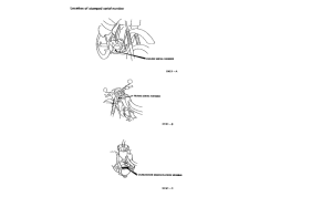 MTX125 *Applicable serial numbers
