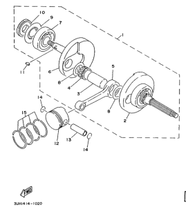 XC150 Ciguenal. pisttn