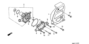 XL600V Водяная помпа