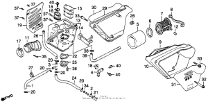 XR250 Воздушный фильтр