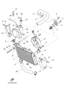 MT03 Radiator & hose