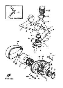 XV250 XV250S Впускная система