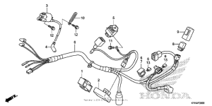 CRF110F Жгут проводов