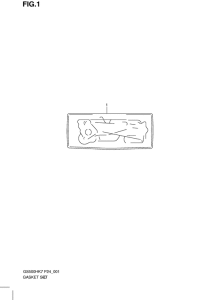 GS500 Front plate seal