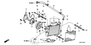 RVT1000R Radiator (l.)