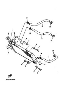 TZ250 Радиатор hose