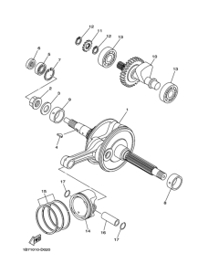 CP250 Коленчатый вал и поршень