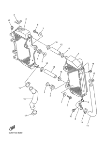 WR250FT Radiator & hose