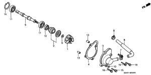 CN250 Водяная помпа