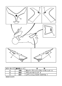 XP500 ｸﾞﾗﾌｲﾂｸ & ｴﾝﾌﾞﾚﾑ