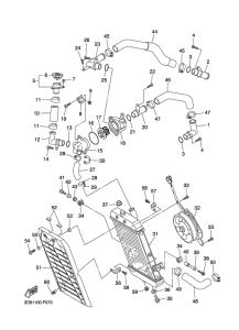 XVS1300A Radiator & hose