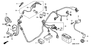 SFX50 Wire harness /  ignition coil / battery