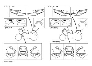 TRX850 ｸﾞﾗﾌｲﾂｸ. ｴﾝﾌﾞﾚﾑ