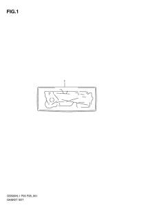 GS500 Front plate seal