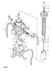 TS250 Carburetor assy