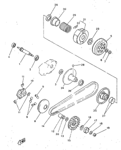 YN50 Сцепление