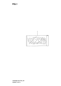 GZ250 Front plate seal