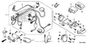  Жгут проводов